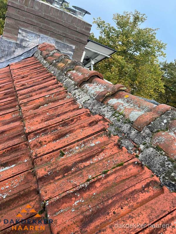 Verweerd hellend dak met mosgroei op nokvorst in Haaren