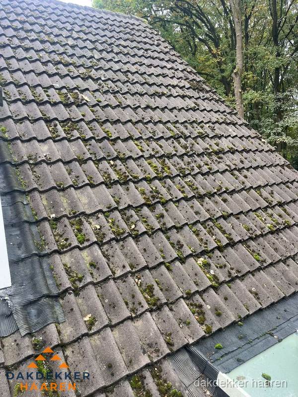 Verweerd pannendak met mosgroei dat renovatie nodig heeft in Haaren