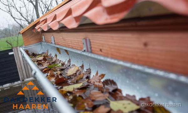 Dakgoot vol bladeren die gereinigd moet worden in Haaren