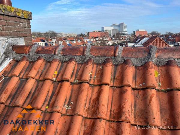 Pannendak met nokvorst en schoorsteen, dakrenovatie in Haaren